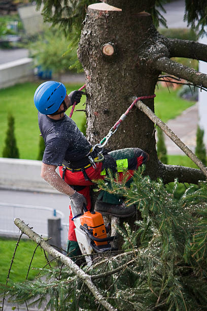 Mulching Services in Koloa, HI